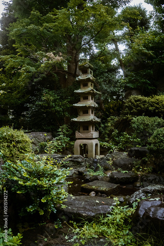 japanese garden pond