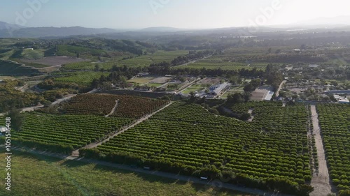 Aerial View of Ranches near Happy Canyon in Moorpark, California photo