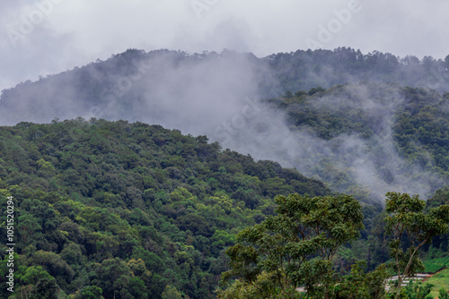 The natural background of the mountain atmosphere, green rice fields and many kinds of plants surrounding, rainbow and a walkway to see the completeness of the ecosystem.