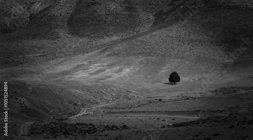 black and white
loneliness