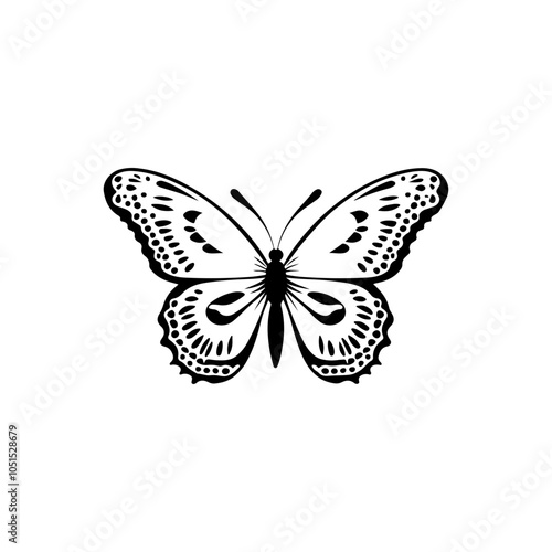 White Admiral Butterfly