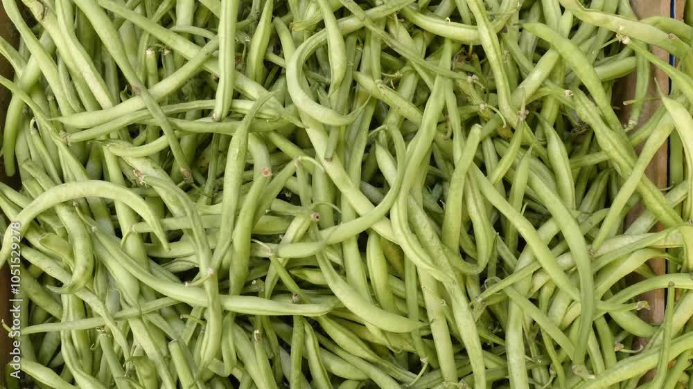 A vibrant collection of green beans at a bustling Italian market, showcasing the beauty of fresh, seasonal produce grown with care in the heart of southern Italy. A vibrant collection of green beans at a bustling Italian market, showcasing the beauty of fresh, seasonal produce grown with care in the heart of southern Italy.