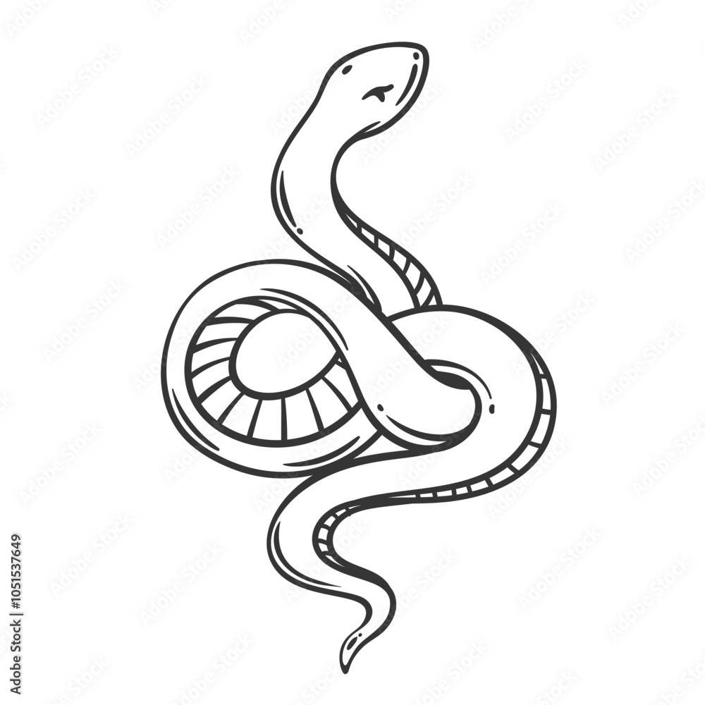 Coiled snake line icon. Outline hand drawn serpent animal with spiral body rolled into ring, vintage sketch of dangerous reptile. Nature wildlife mascot, simple snake icon vector illustration Coiled snake line icon. Outline hand drawn serpent animal with spiral body rolled into ring, vintage sketch of dangerous reptile. Nature wildlife mascot, simple snake icon vector illustration