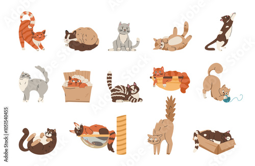 Different cats playing, sleeping, stretching, relaxing flat vector illustrations set isolated on white.
