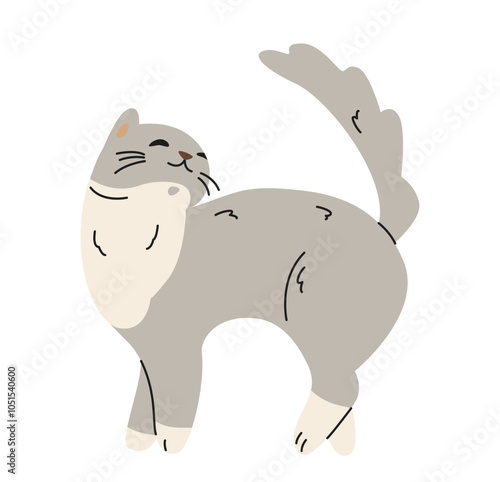 Cute playful grey cat flat vector illustration isolated on white.