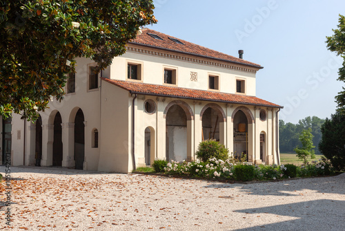 Wallpaper Mural View of an Italian villa and the road leading to it through the trees. Torontodigital.ca