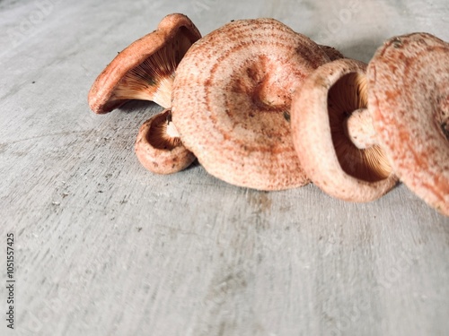 Niscalo mushroom fresh on the table.
 photo