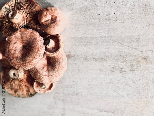 Niscalo mushroom fresh on the table.
 photo