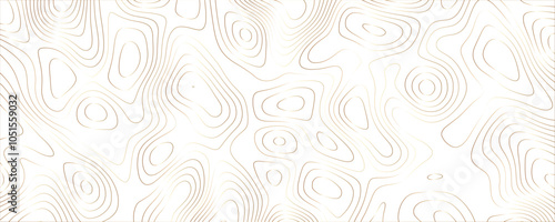 Sculpted contours blending motion into textured spatial patterns

