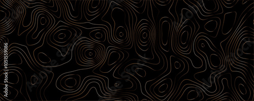 Sculpted contours blending motion into textured spatial patterns

