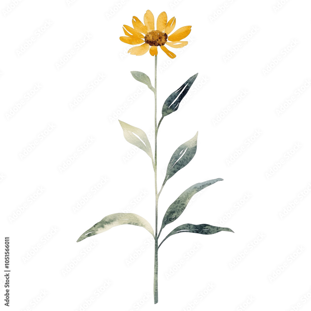 Watercolor Illustration of a Single Yellow Wildflower with Green Leaves Watercolor Illustration of a Single Yellow Wildflower with Green Leaves