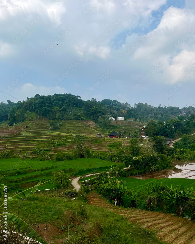 Refreshing Green Terraced Rice Fields on the Hillside
Refreshing Green Terraced Rice Fields on the Hillside