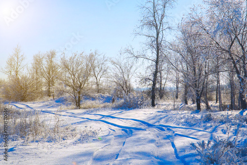 Snow covered forest country road on winter sunny