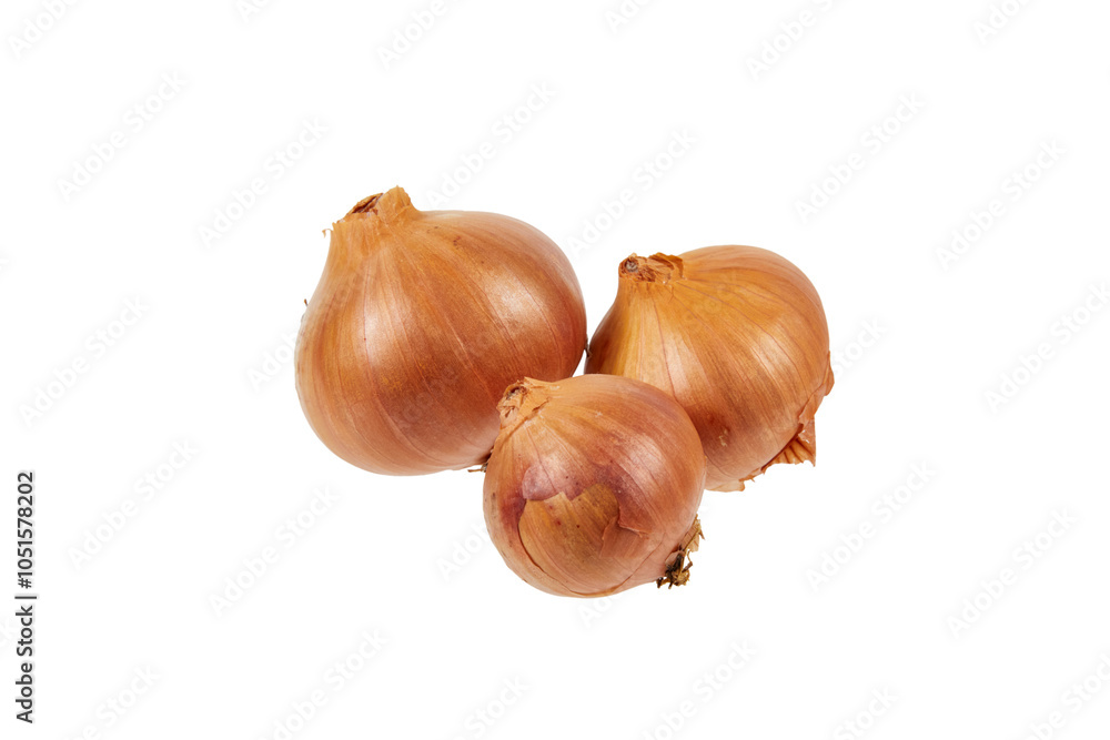 group of onions isolated on white or transparent png group of onions isolated on white or transparent png