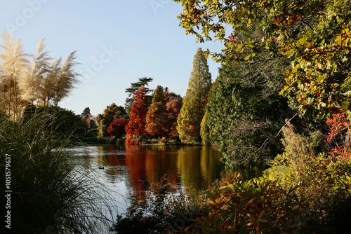 Autumn trees in Sussex, England