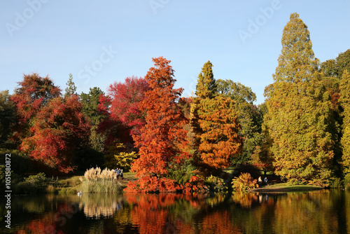 Autumn trees in Sussex, England