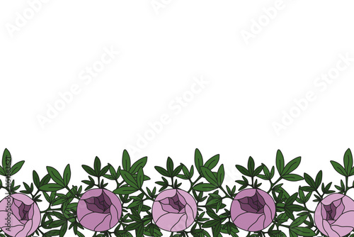 Horizontal Floral Frame template design isolated white background. Summer Flowers Frame with copy space. Vector illustration can used mail decor discord banner. EPS 10