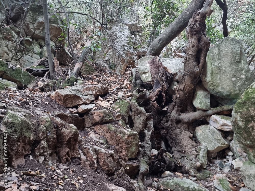 The mouth of the dried up Yagur stream . Israel The mouth of the dried up Yagur stream . Israel