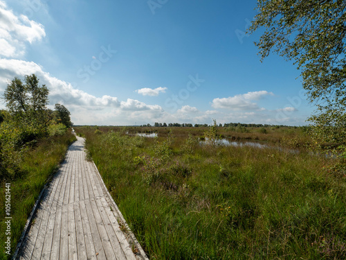 Wanderweg am ewigen Meer (Ostfriesland) mit Blick über die Moorlandschaft und blauem Himmel mit wenigen weißen Wolken