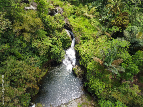 waterfall in the forest