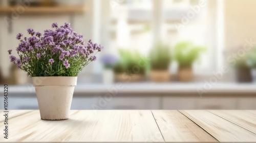 A vibrant planter on a sleek white kitchen counter enhances minimalist design, ideal for home décor photography with ample copy space for product displays, adding natural elegance to any space.