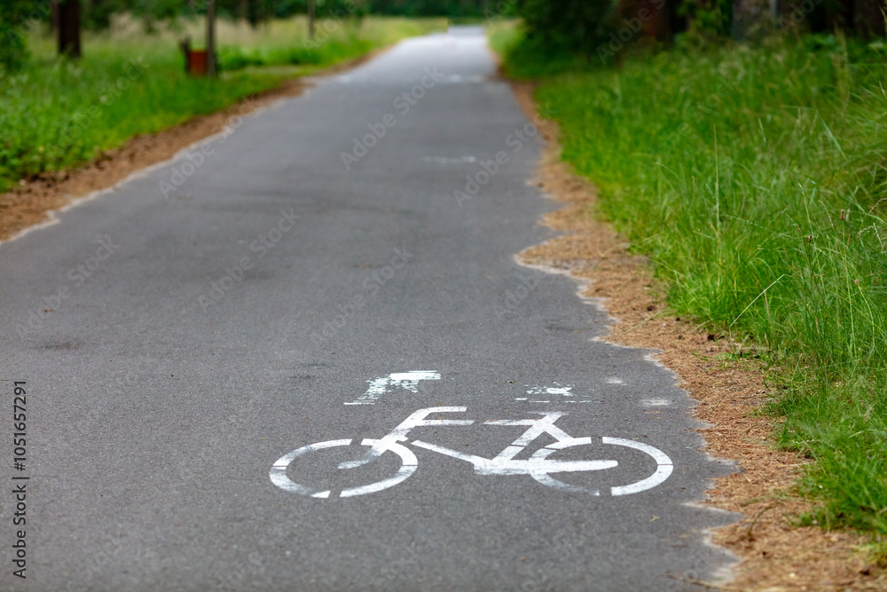 Obraz premium Peaceful Countryside Bicycle Path in Forest Setting with White Markings