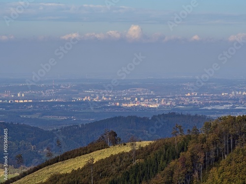 view of the city