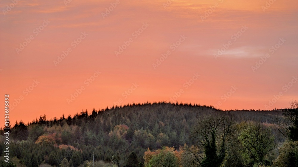 Beautiful sunrise landscape scenery, forest at Slieve Bloom mountains, Forelacka, Co. Offaly, Ireland, nature background