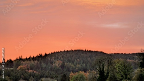 Obraz na płótnie Beautiful sunrise landscape scenery, forest at Slieve Bloom mountains, Forelacka, Co. Offaly, Ireland, nature background w salonie