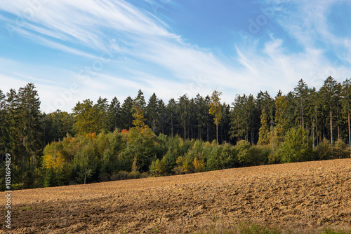 An autumn landscape with a field and trees in the countryside of Central Europe.