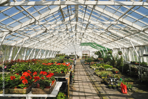 Greenhouse, Island of Guernsey, Bailiwick of Guernsey, British Crown dependency, English Channel, Europe photo