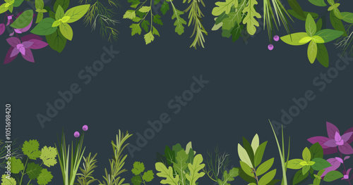 Green kitchen herbs banner template vector flat illustration on dark background. Rosemary, coriander, basil, parsley, arugula, spinach. Graphic elements for cook book design, menu and recipe sheets