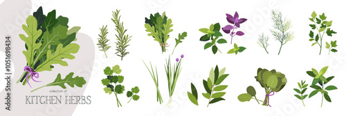 Cartoon cooking herbs garden. Bay leaf, rosemary, dill, coriander, basil, parsley, mint, arugula, spinach, cilantro. Set of popular culinary kitchen herbs vector flat illustration isolated on white.