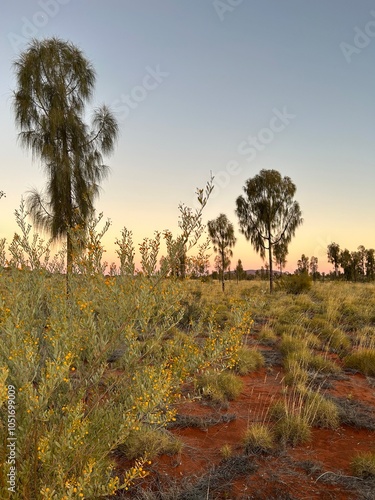 Uluru 