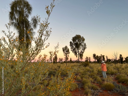 Uluru