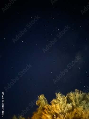 Starry Night in Uluru 1