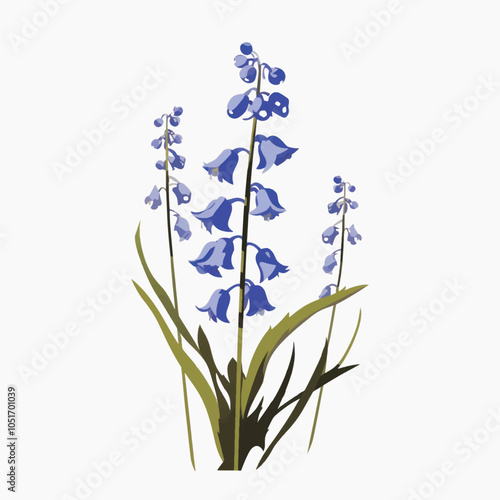 Elegant bluebell flower illustration