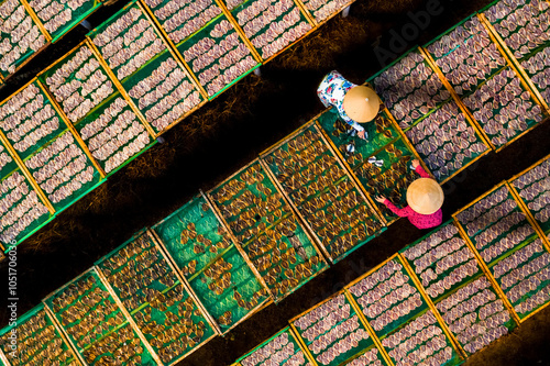 Drying fish in Vung Tau, Vietnam, Indochina, Southeast Asia, Asia photo