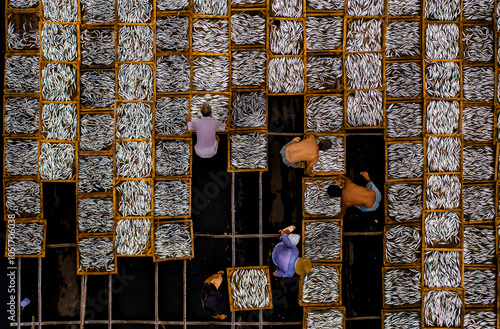 Drying fish in Vung Tau, Vietnam, Indochina, Southeast Asia, Asia photo