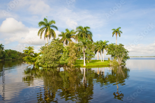 Islet in Treasure Lagoon, Guama, in the Zapata swamplands, Matanzas Province, Cuba, West Indies, Caribbean, Central America photo