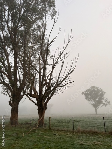 Australia Countryside