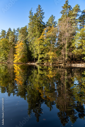 Forest Lake in the Fall with a bridge