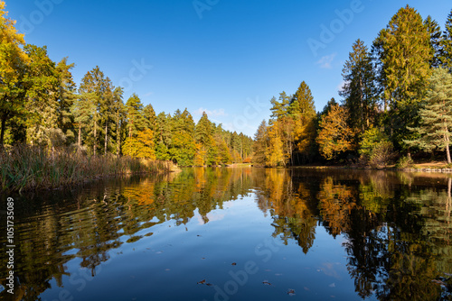 Forest Lake in the Fall