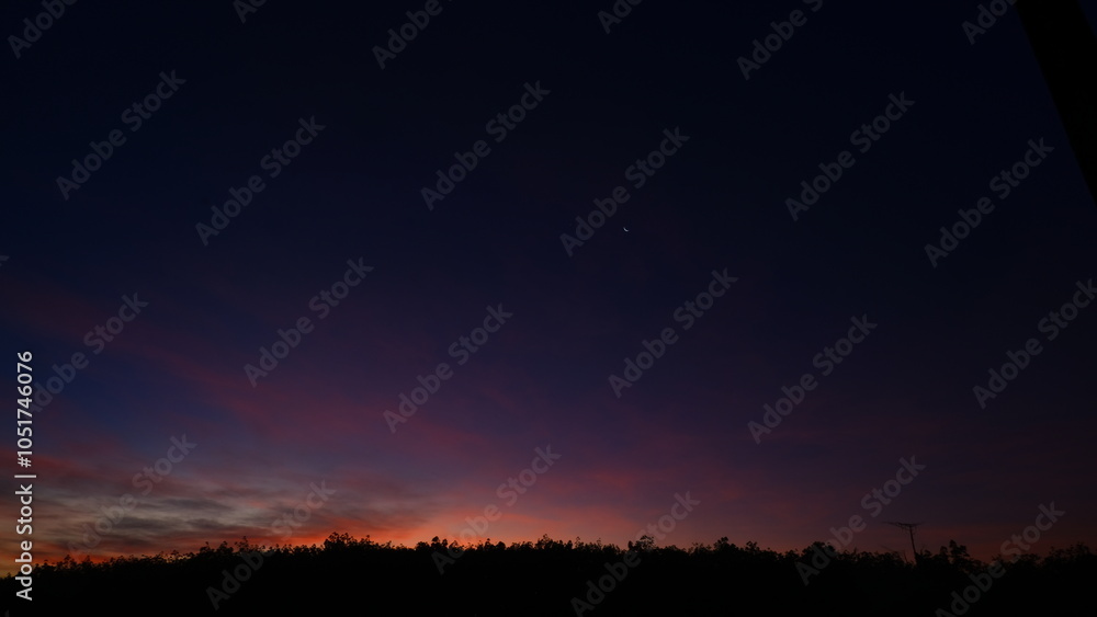 Dawn is approaching, the purple-orange belly at the tip of the tree glows brightly. Dawn is approaching, the purple-orange belly at the tip of the tree glows brightly.