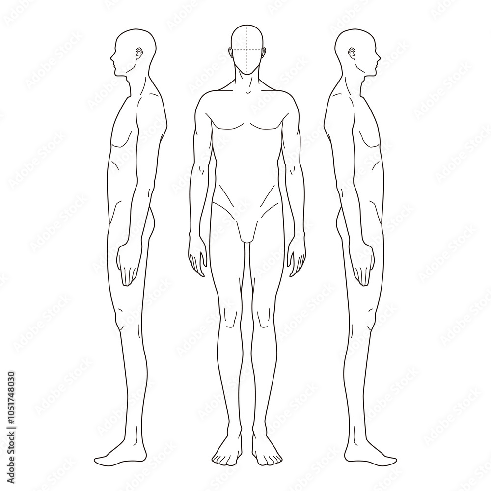 Minimalistic line drawing of a male figure in front and side views, anatomy study
Minimalistic line drawing of a male figure in front and side views, anatomy study