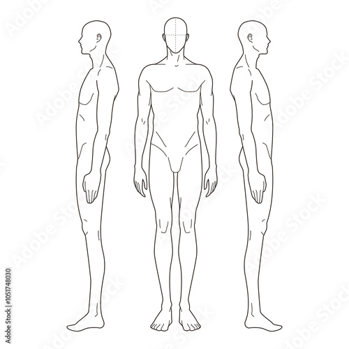 Minimalistic line drawing of a male figure in front and side views, anatomy study

