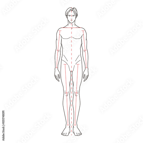 Front view of a male figure with red dashed lines for anatomical reference, minimalistic line art

