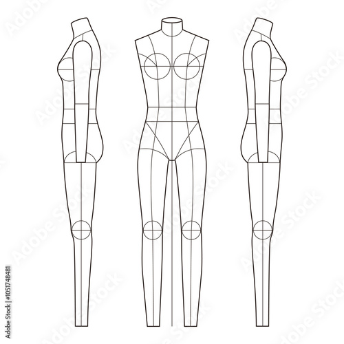 Minimalistic three-view drawing of a female mannequin with proportional guidelines, front and side profiles

