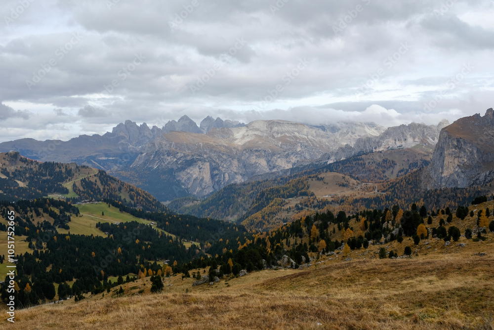 Fototapeta premium landscape in the mountains