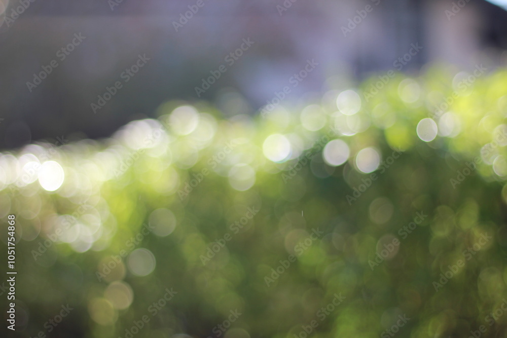 Obraz premium abstract bokeh background